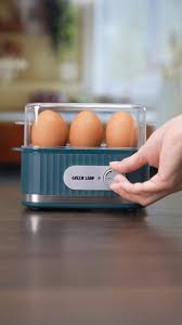 GREEN LION - SMART EGG COOKER GL-EC05